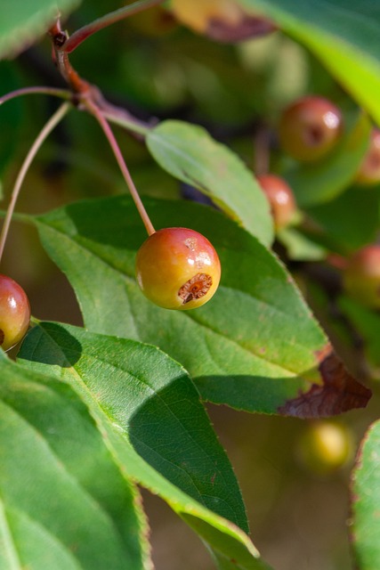 这一年充满 这一年充满