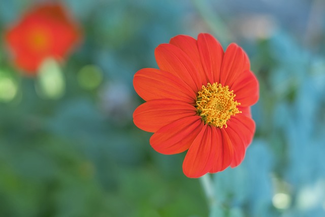 結果收場 結果收場