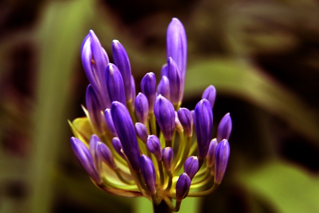 至与顶级控 至与顶级控