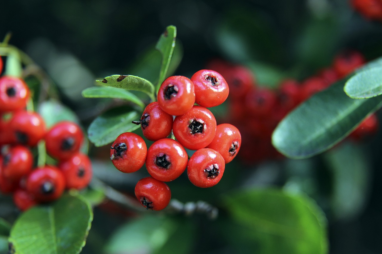 稳扎稳打地 稳扎稳打地